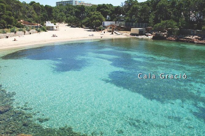3h Private Cruise + Drinks, Snorkel & Paddle - Key points that matter
