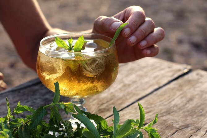 Aromatic Experience in the Medicinal Garden in Ibiza - Entering The Medicinal Garden In North Ibiza (Dry-Stone Calm)