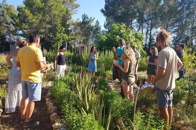 Aromatic Experience in the Medicinal Garden in Ibiza - 40+ Plants You Can Actually Connect With