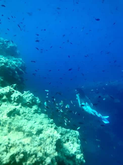 Cala Codolar: Guided Sea Kayaking and Snorkeling Tour - Morning fruit and nuts vs sunset cava: how the time slot changes your vibe