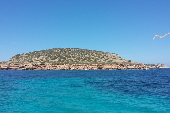 Cala Comte Private Catamaran Tour - Price and Value for a Group: Why This Charter Can Be Worth It