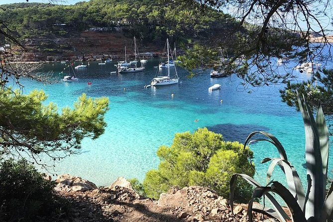 Cala Salada and Unspoiled North Beach Tour. Snorkelling and Aquarium - Cruising the North Coast: Cala Gracio and That Hippy-Spot View