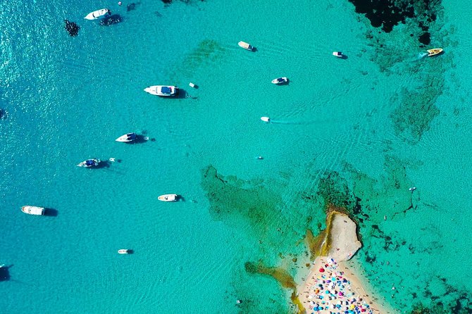 Cala Salada and Unspoiled North Beach Tour. Snorkelling and Aquarium - Timing and Delays: Why Your “1 Hour” Swim Might Not Be Exactly 1 Hour