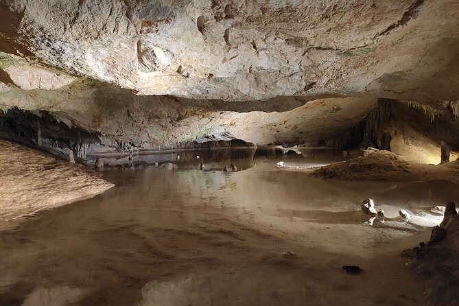 Can Marca, Las Dalias Hippie Market and Benirras Tour - Ses Salines Salt Ponds and the North Coast in One Drive
