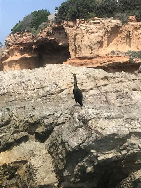 Curso de PaddleSurf, Visita Cuevas y Calas secretas, Snorkel - What’s Included (and Why It’s Good Value)