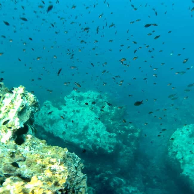 Curso de PaddleSurf, Visita Cuevas y Calas secretas, Snorkel - Booking Thoughts: When You Should Say Yes