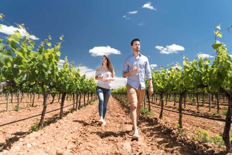 Discover the Essence of Ibiza’s rich wine culture - Where the tasting fits in your Ibiza day: 1.5 hours in Sant Mateu