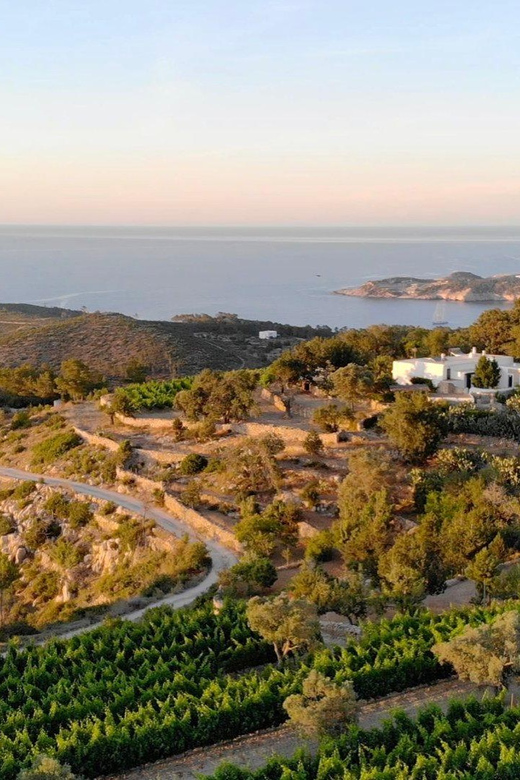 Discover the Essence of Ibiza’s rich wine culture - Sustainable development at a working winery