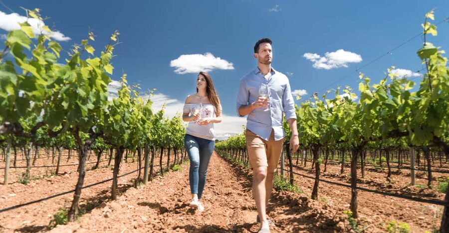 Discover the Essence of Ibiza’s rich wine culture - Who this experience is best for
