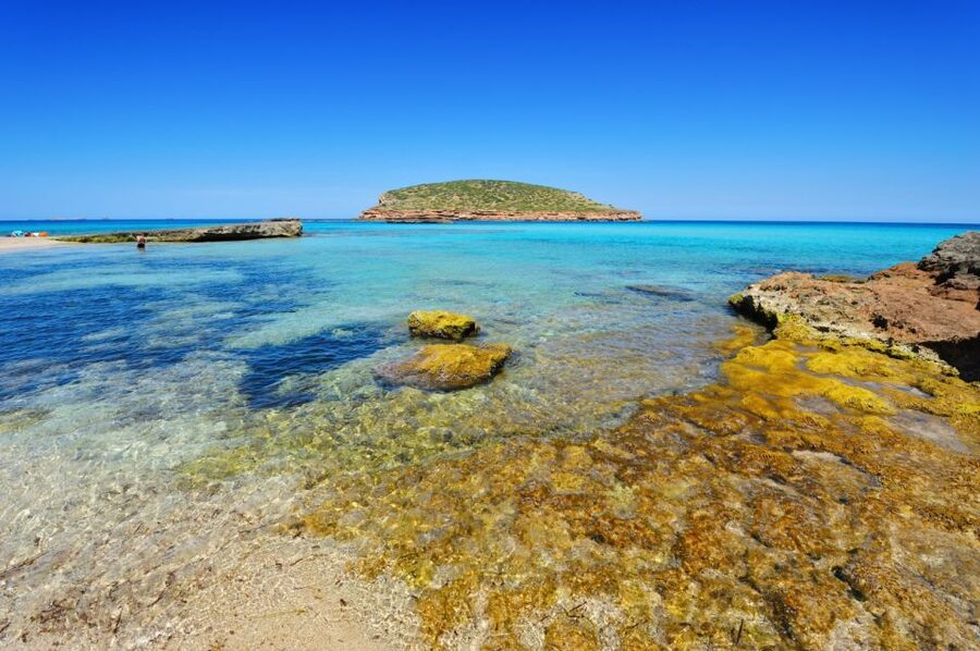 Explore Ibiza's Hidden Coves: No-License Boat Rental - Price and value: $294 for a group up to 4