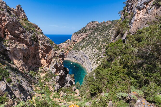 Explore Secret Ibiza: Guided Hiking Tours with Local Experts - How remote Ibiza feels with a real local guide