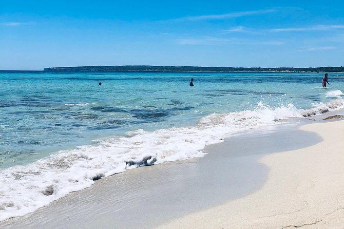 Formentera Small-Group Day Trip by Sailboat from Ibiza - Price and Value: Why $162.55 Can Make Sense