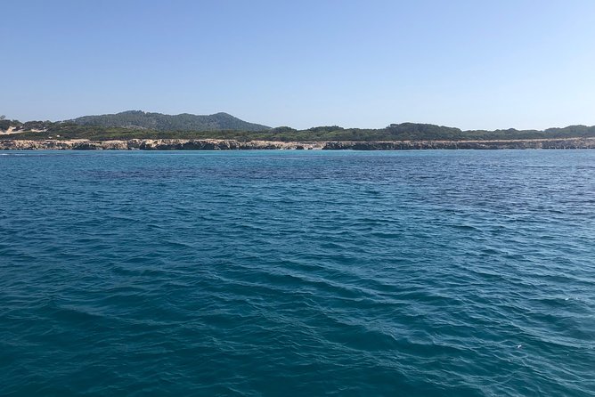 Formentera Small-Group Day Trip by Sailboat from Ibiza - Hosts and Vibe: What Irene and Alberto Add to the Day