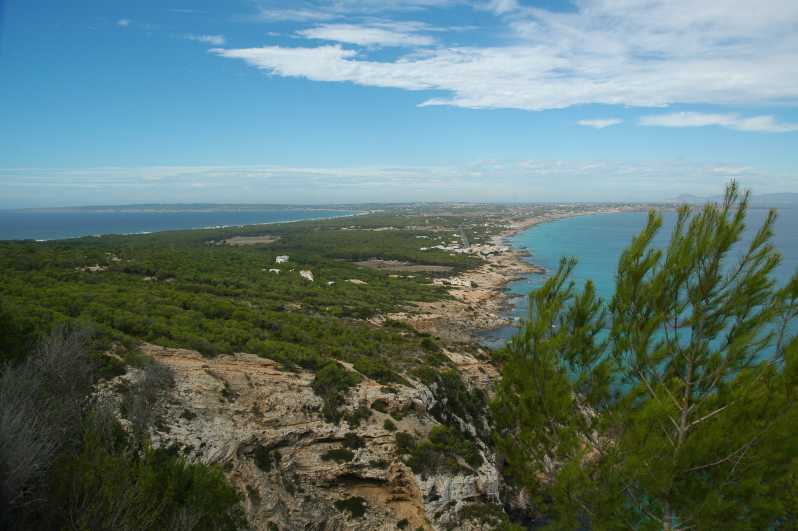 From Ibiza: Ferry and Guided Bus Excursion in Formentera - Price and value: is $111 worth it?