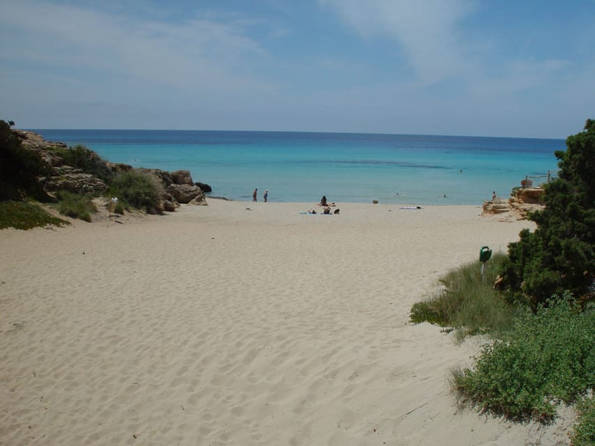 From Ibiza: Ferry and Guided Bus Excursion in Formentera - Mirador viewpoint: panoramic views with low effort