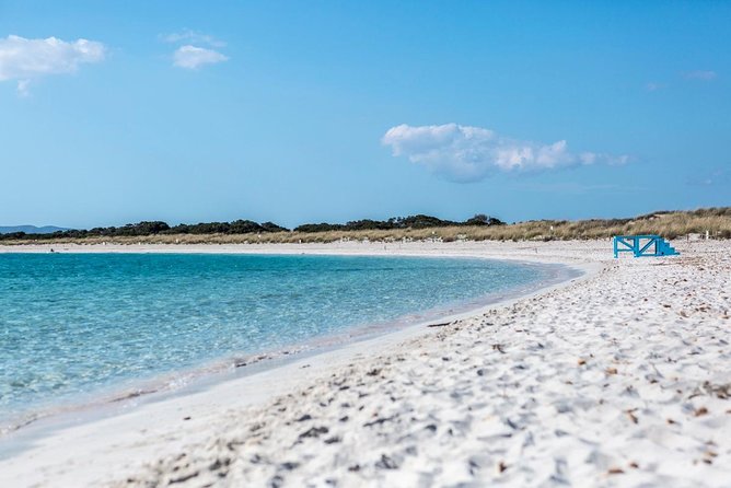 Full-Day Private Ibiza and Formentera Charter Cruise - Food, Comfort, and the Small Kitchen Advantage