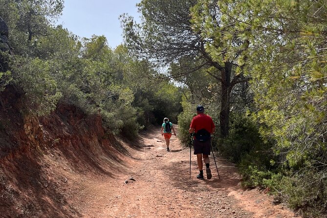 Hiking guide tours in Ibiza - Explore stunning views with us! IHL - Why walking Ibiza beats the usual checklist