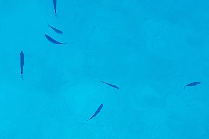 Ibiza Boat Trip to Formentera | Full-Day Experience - Stop 2: S’Espalmador—white sand, calm water, fruit later