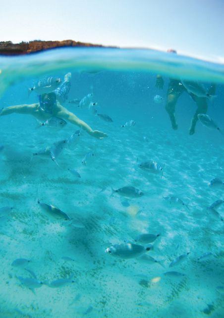 Ibiza: Classic Full or Half-Day Boat Charter - How the day unfolds: cruising views, planned water breaks, and time to relax