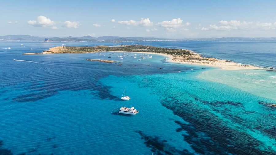 Ibiza: Formentera Boat Cruise with Paddle, Snorkel & Lunch - Getting on board: check-in, what the day starts like, and where you’ll end up