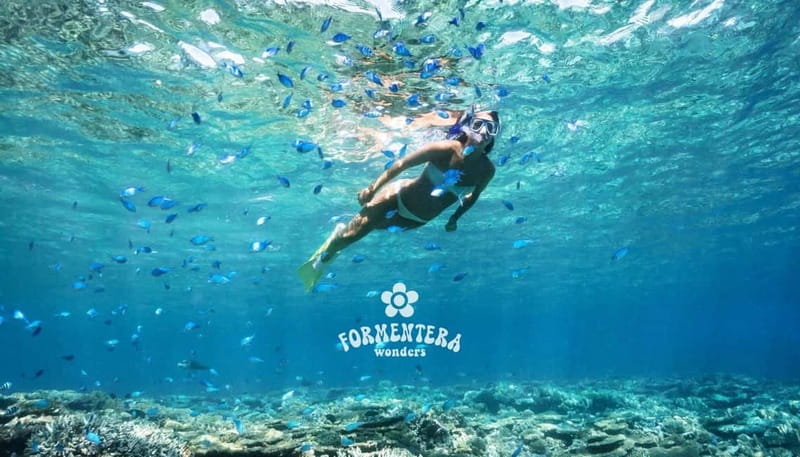 Ibiza: Formentera Cruise Breakfast, Paella, OpenBar & Sports - From Ibiza to Formentera in 5 hours: the main appeal