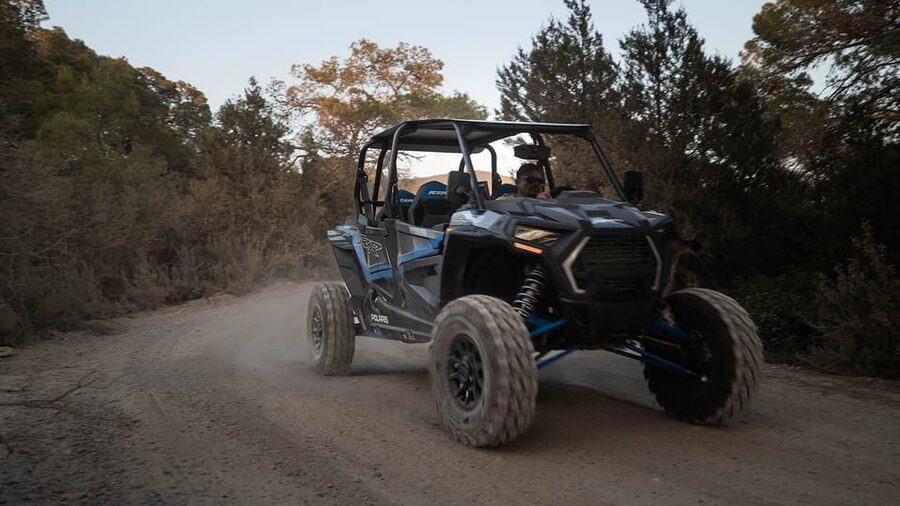 Ibiza: Guided Buggy Tour with Beach Stops - Who This Tour Suits Best (And Who Should Skip It)