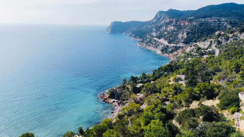 Ibiza: Half Day Island Tour with Iconic Photo Spots - Comfort on an active half-day: small group energy, real practicality