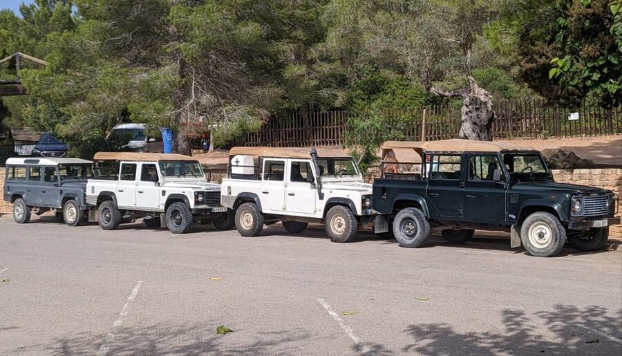 Ibiza: Jeep Safari Island Exploration - Western, Eastern, and Northern Views from Dirt Roads
