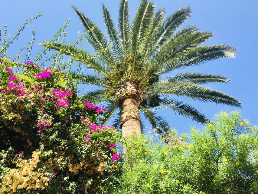 Ibiza: Old Town Guided Walking Tour - Viewpoints Over the City and Coast: Where the Tour Earns Its Time
