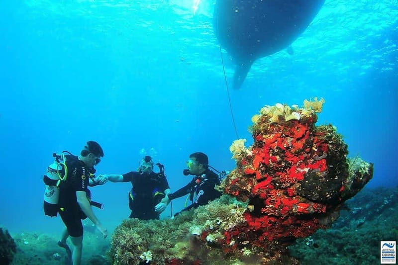 Ibiza Scuba Diving for Beginners and Snorkeling - Gear, wetsuit, and the on-board warm-up