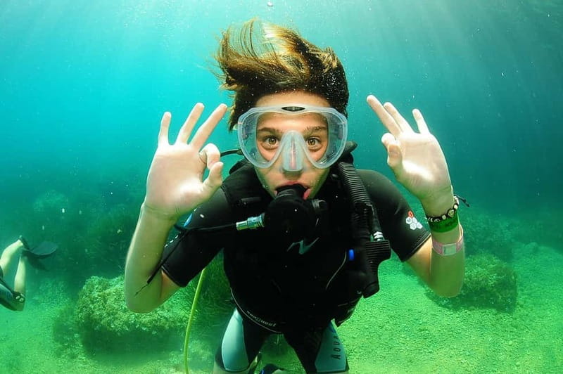 Ibiza Scuba Diving for Beginners and Snorkeling - House reef wildlife: octopus, fish, and a dolphin maybe