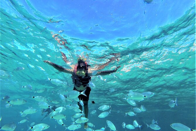 Ibiza Snorkeling Beach and Cave Tour - Key highlights you’ll care about