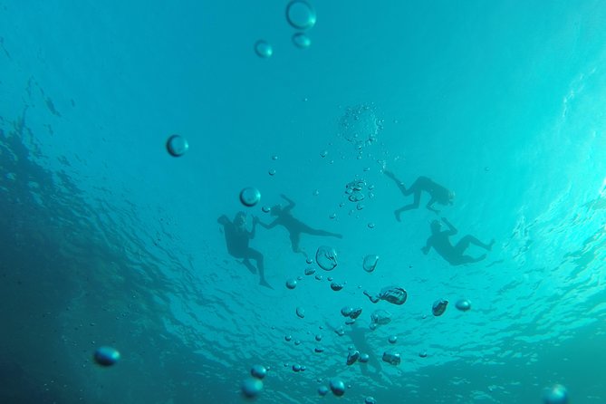 Kayak & Snorkel Ibiza, Spain - Timing: How the 3-Hour Experience Feels in Real Life
