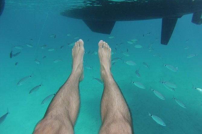 Playa Es Arenals Catamaran Private Full Day Trip - Key things to know before you go