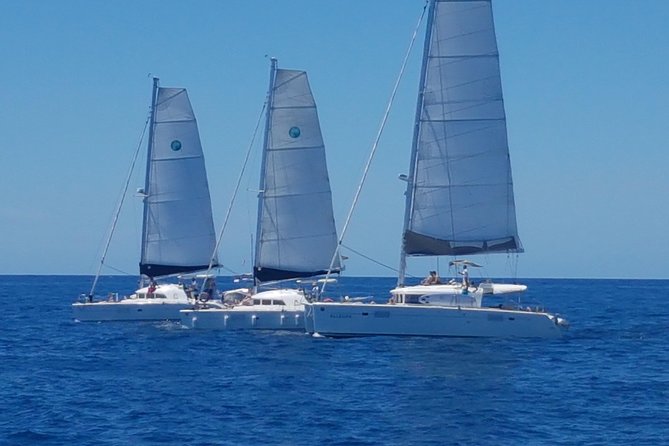 Playa Ses Platgetes Catamaran Private Trip - Your beach block at Platja Ses Platgetes: swim, snorkel, and paddle