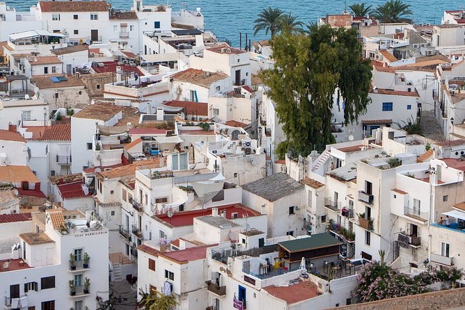 Private 4-hour walking tour of Ibiza with official tour guide - A private 4-hour Dalt Vila walk that feels built for your questions