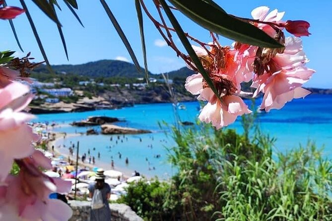 Private Boat Experience in Ibiza - Price and value: what $1,565 per group really means