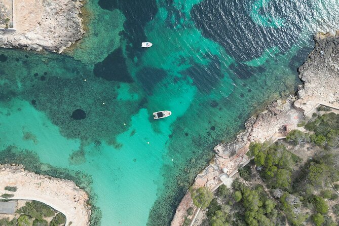 Private Boat Tour of San Antonio with Paddel surfing and Snorkeling - Price and value: how $830.84 per group can work out well