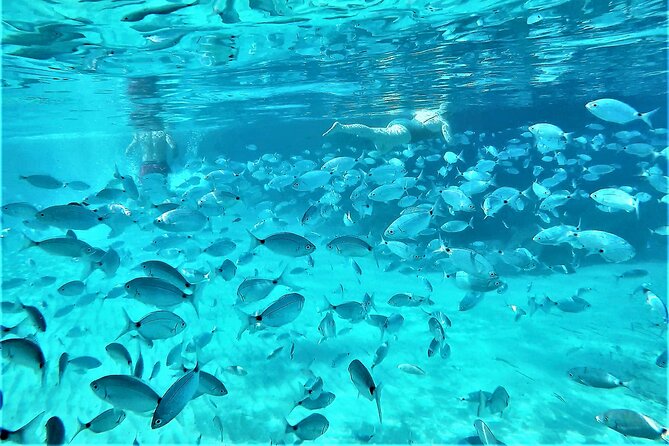 Private Hydro-Jet Snorkeling Beach and Cave Cruise Tour - Price and value: what you’re really paying for