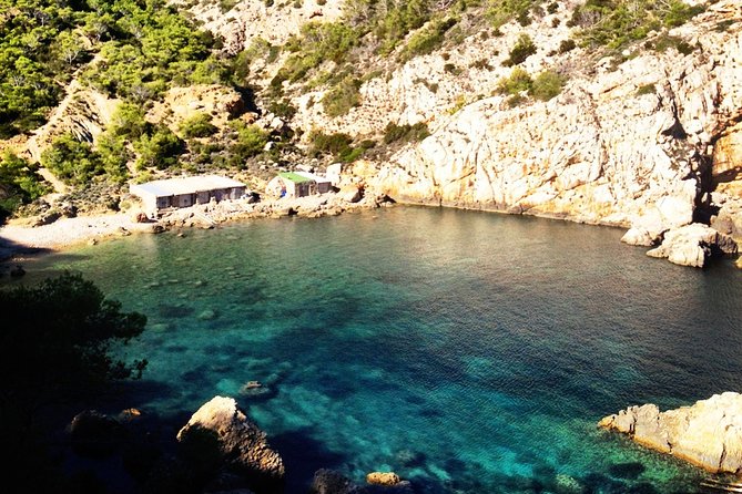 Private Walking & Hiking Experience Ibiza - Private Guide Impact: Stories, Flexibility, and a Smoother Day