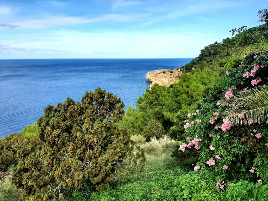 Puerto de San Miguel: Can Marçá Cave Guided Tour with Entry - Can Marçà Cave in Port San Miguel: what this tour really is