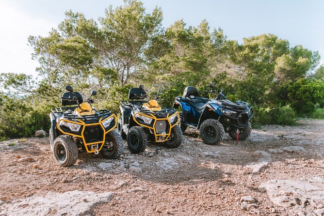 Santa Eulalia ATV Quad Tour in Ibiza - Cala de Sant Vicent: Tagomago Island from the viewpoint