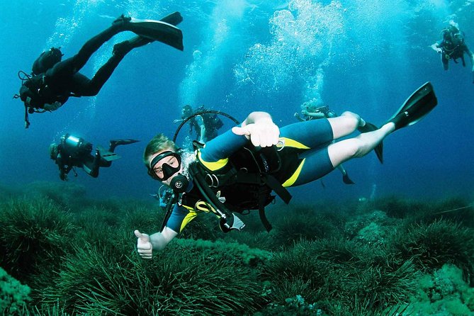 Scuba Diving Baptism and Snorkeling in Ibiza - Key highlights I’d actually plan around