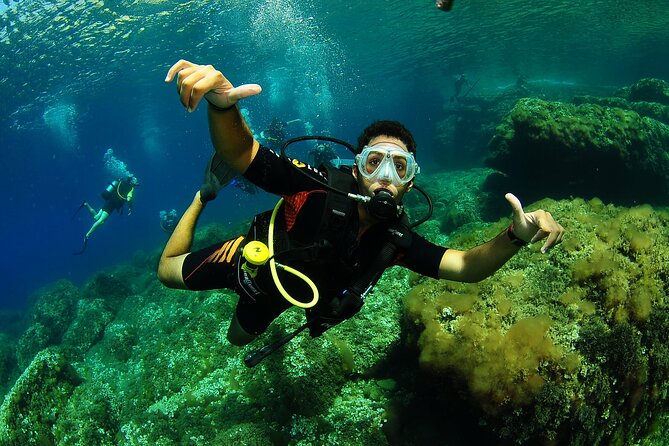 Scuba Diving Baptism and Snorkeling in Ibiza - The UNESCO seagrass bay and the wildlife you’ll actually notice
