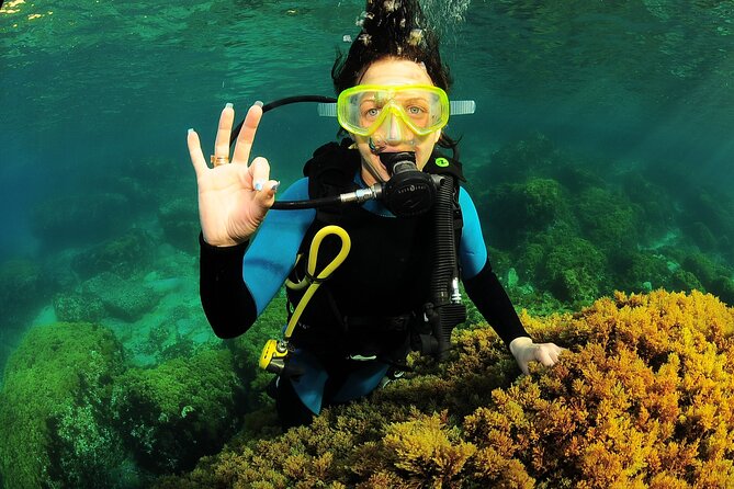 Scuba Diving Baptism and Snorkeling in Ibiza - Weather and timing: the one thing that can change your plan