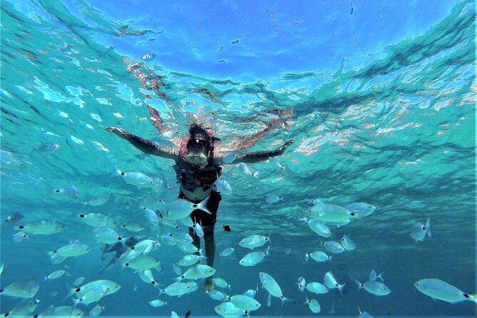 Sea Caves & Coves Snorkeling Paddle Boarding Tour - Cala Bassa Stop: Sea Caves, SUP Routes, and Cave Access Only If Allowed