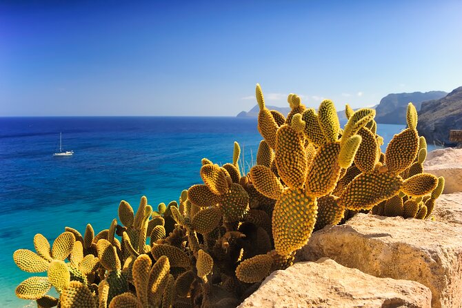 Secrets of Ibiza - Car tour in 8 hours - Pickup, meeting point, and getting oriented fast