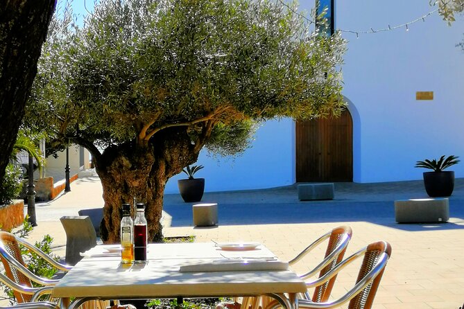 Secrets of Ibiza - Car tour in 8 hours - The guide matters: Maran and the value of real attention