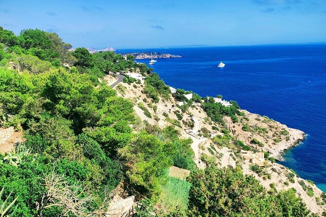 Sightseeing Day Trip along the South West Coast of Ibiza ES Vedra - Cala d’Hort: swimming time with Es Vedrà in your frame