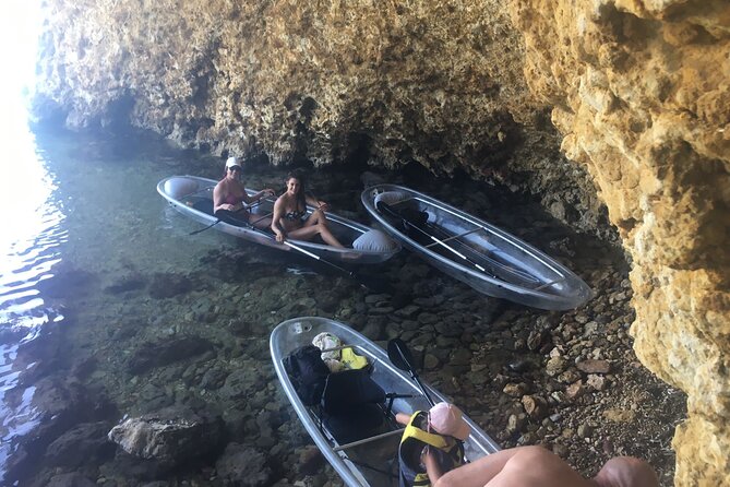 Snorkeling-out : Transparent Kayak or SUP Tour - What you’ll see: fauna, flora, and the poseidonia story